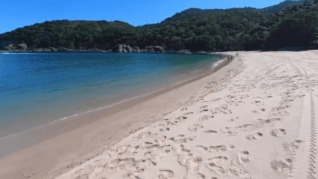 férias São Paulo em uma praia com o mar verde.