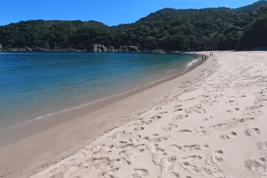 férias São Paulo em uma praia com o mar verde.